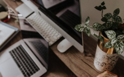 Los tipos de seguros laborales para empleados